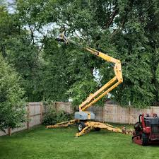 Lawn Pest Prevention in Indian Hills, NM