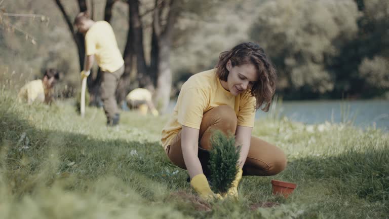 Best Lawn Drainage Solutions  in Indian Hills, NM
