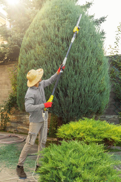Best Lawn Grading and Leveling  in Indian Hills, NM