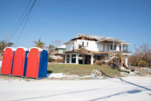 Best Emergency Tree Removal  in Indian Hills, NM