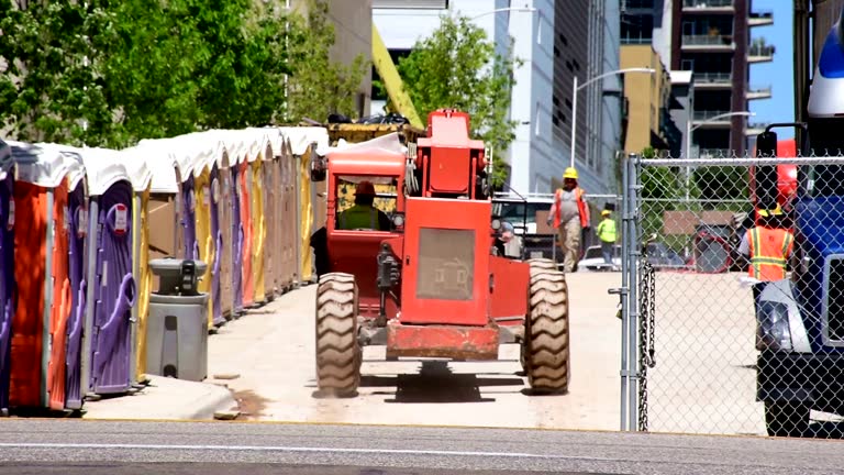 Professional Tree Removal in Indian Hills, NM